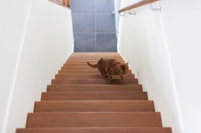 Houten trap